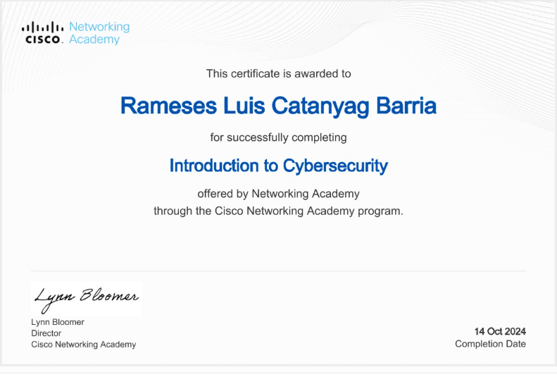 Introduction to Cybersecurity certificate